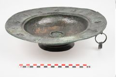 Foto von Bronzebreitrandfußschale (NHMW-PRAE-025521)
